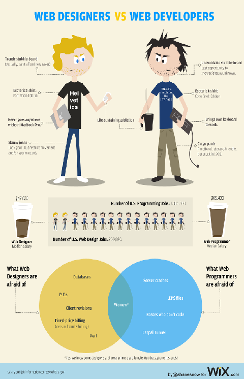 Web Designers Vs Web Developers